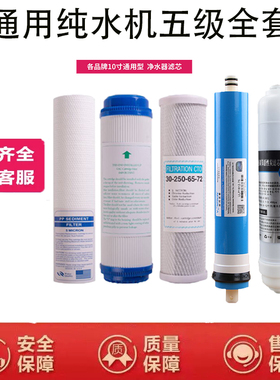 适用于艾淳净水器滤芯ACJSQ-RO-100加热一体机10寸PP棉反渗透RO膜
