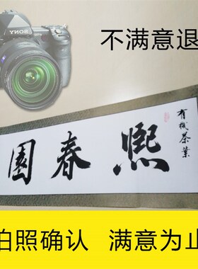 商标字体设计高清扫描电子档作品拍照书法定制真迹调整满意为止