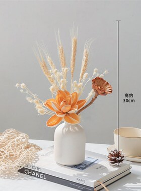 干花小花束天然风干芦苇diy材料客厅摆设小盼草高级真花摆件装饰