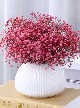 满天星带花瓶永生花真插干花花束家居摆设小清新摆件客厅房间装饰