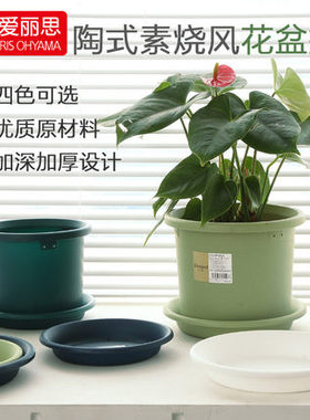 爱丽思IRIS 多肉绿萝盆栽花盆托加深简约加厚盆景塑料托盘爱丽丝