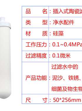 不锈钢台式净水器插入式陶瓷滤芯带2个胶圈10寸硅藻泥插口过滤芯