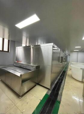 低温隧道式速冻机 草莓覆盆子专用急速冷冻加工设备