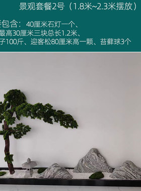 雪浪石切片组合天然造景大型泰山石雕小假山枯山水室内庭院景观石