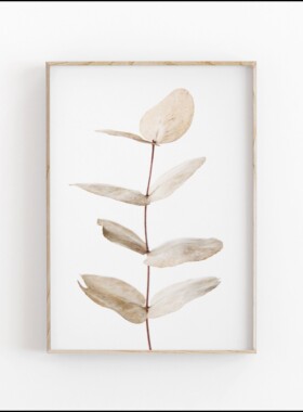Minimalist Aesthetics Nordic Botanical Poster Canvas Paint