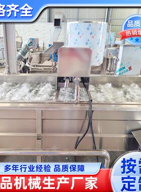 全自动气泡清洗机清洗蔬菜水果海鲜食品厂用连续式清洗流水线设