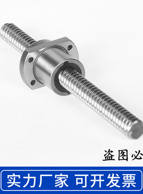 高精度大导程滚珠丝杆SFE1616/2020/2525/3232/4040