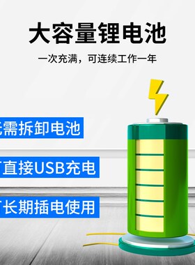 黑球温度记录仪气象热指数体感温度测量高导热高精度温度计测量仪
