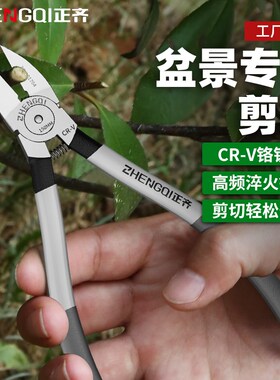 盆景专用工具园艺剪钳修枝剪刀水口钳盆栽制作造型叶芽剪花艺绿植