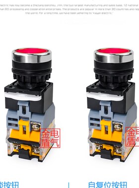 带灯复位按钮开关LA38-11D平钮启动按钮22mm红绿平头自锁开220v