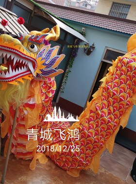 舞龙道具 大号舞龙一号二号 舞龙道具 40cm-60cm直径 高密度绸布