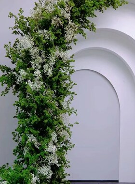 乾燥花永生蓬莱松雾状蓬松花艺软装花艺美陈婚庆布置咖啡厅装饰