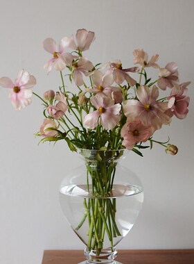 收集时光 Camus say古典高脚花瓶 水晶玻璃手工花瓶 毛茛虞美人