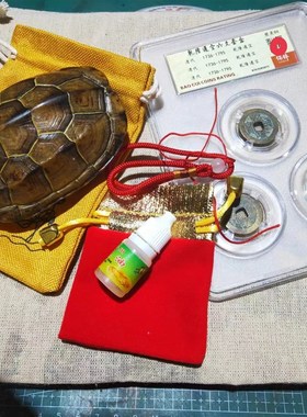 乌龟壳真甲壳天然完整文玩龟甲摇卦起卦富甲把件金线龟壳适合女生