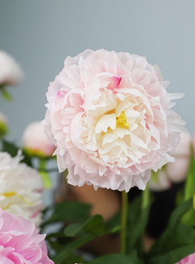 高品质仿真花牡丹花芍药花绢花假干燥花束客厅电视柜室内装饰餐桌