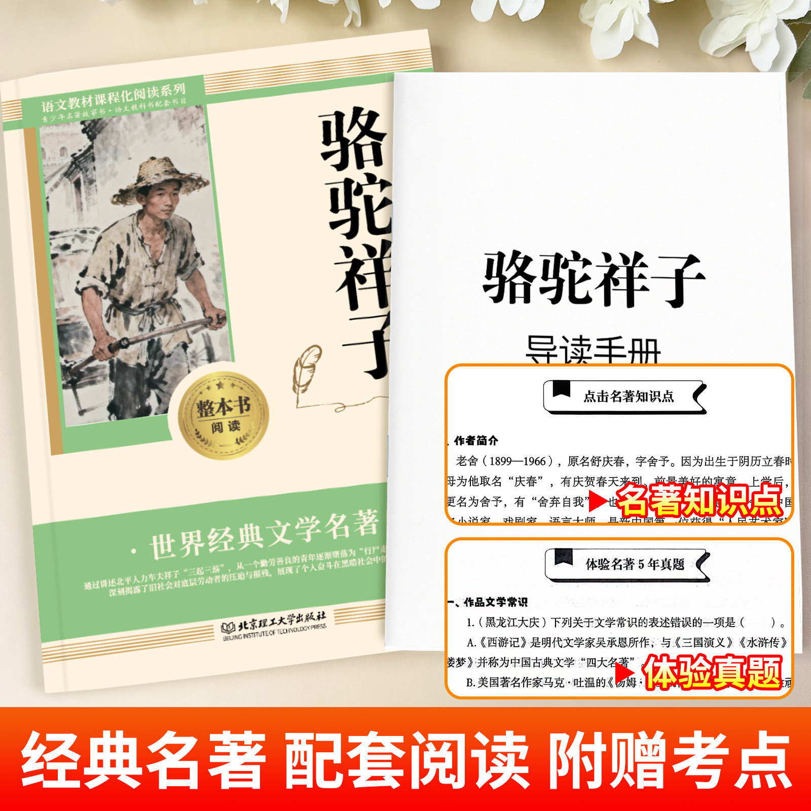 素材图