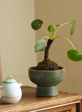 手工粗陶复古小花盆茶桌茶几玄关装饰摆件陶瓷水养绿植菖蒲小花器