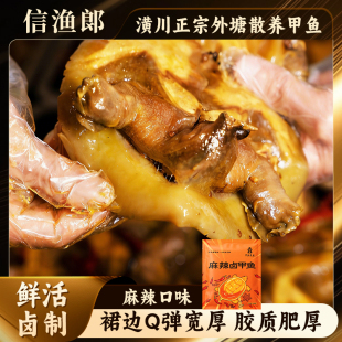 【即食甲鱼第1】【源自潢川】