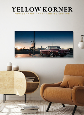 YELLOW KORNER法国原装进口《Golden Carwash》客厅挂画装饰画