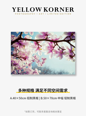 YELLOW KORNER法国原装进口《Magnolia》白玉兰客厅玄关清新挂画