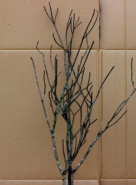 天然干树枝装饰干树枝原木diy禅意枯枝摆件干枝造景插花客厅饰品