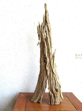 千年胡杨老木风化枯木根艺根雕整体随形摆件自然生态创意家居软装