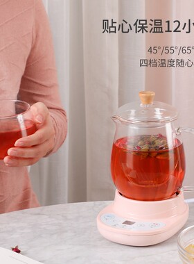 迷你电热煮茶壶办公室加热水可携式多功能保温小型全玻璃养生炖杯