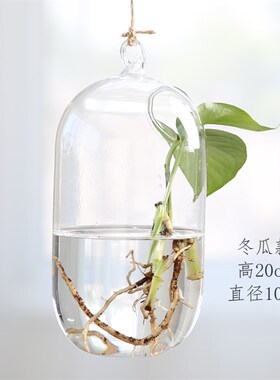 悬挂玻璃花瓶创意鱼缸吊瓶水培植物绿萝花瓶斗鱼鱼缸家居装饰品