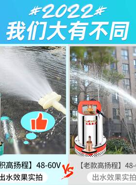极速直流潜水泵电动车灌溉家用农用24v48v抽水机12v60v.高扬程潜