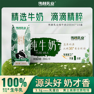 6月产纯牛奶200ml×10盒整箱