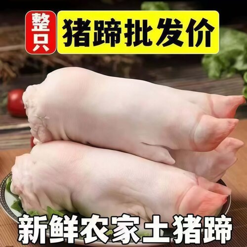 【中秋特惠】新鲜猪蹄带筋整只猪脚生鲜猪蹄子散养猪手前蹄批发 - 图2