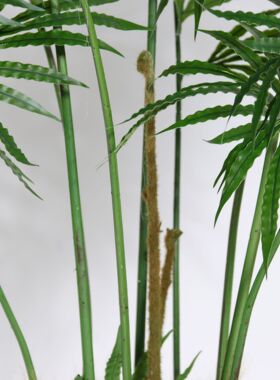 北欧风仿真德宝苏铁假绿植盆栽室内家居装饰摆件仿真蕨树落地造景