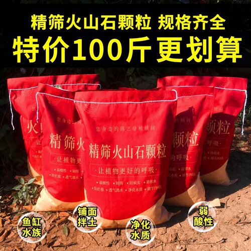 火山石颗粒腾冲精筛乳酸性天然火山岩多肉山乌龟铺面鱼缸水族造景 - 图0