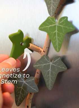 English Ivy Fridge Magnet with Articulating Stems冰箱贴