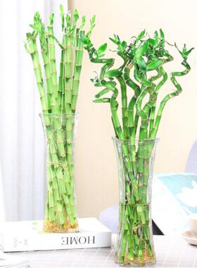 玻璃花透明水养富贵竹百合摆件客厅插花干花北欧家用水养专用
