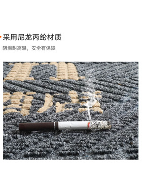 办公室地毯阻燃防尘刮沙耐脏地垫防滑入户垫台球厅地毯
