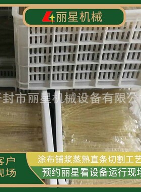 日产1-3吨粉皮加工设备红薯粉皮生产线厂家开封丽星