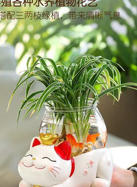 花瓶小摆件皿器鱼缸插花花器装饰品绿萝水培水养植物玻璃客厅创意