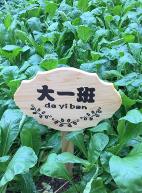 定制木牌子公园菜园菜地木质草地种植区指示牌立式插地牌爱护花草