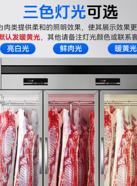国美商用牛羊肉保鲜挂肉柜