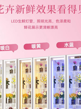 国美风冷无霜三开门鲜花展示柜