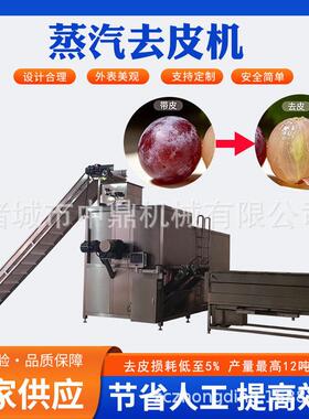 中鼎葡萄蒸汽去皮机温爆皮机全自动阳光玫瑰巨峰无核白头加工