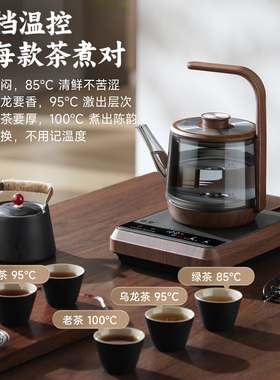 纯钛底部上水煮茶壶木纹提梁新款