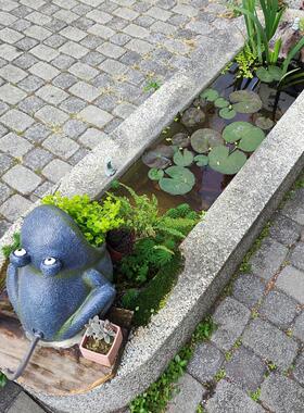 户外水池流水青蛙摆件花园庭院出水口装饰品鱼池过滤循环景观喷泉