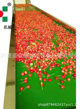 水果加工线 黄桃樱桃草莓苹果清洗 果蔬加工速冻线 商用大产量