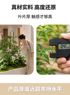 仿真绿植南天竹造景服装店橱窗造景摆件装饰场景布置假绿植高级感