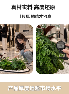 仿真绿植造景服装店橱窗装饰场景布置创意风假绿植凤尾草轻奢高级