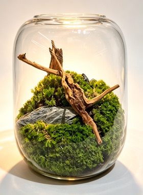 空山静屿中式禅意苔藓玻璃盆景 室内桌面绿植微景观 茶室书房摆件