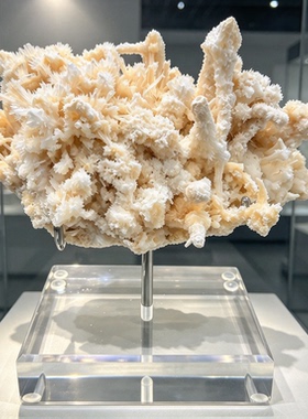 精品天然米黄晶簇原石 矿物标本 玄关桌面收藏观赏摆件