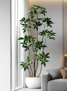 高端模拟绿色植物摇钱树落地式盆栽室内商场景观大型彷生无障碍豪